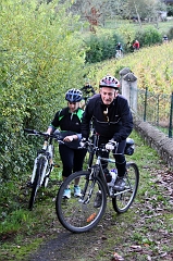 Photo 008